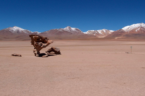 Wycieczki prywatne Uyuni Salt Flats 3 dni