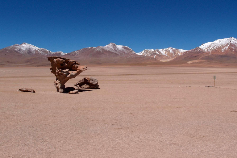 Wycieczki prywatne Uyuni Salt Flats 3 dni