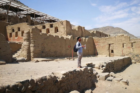 From the Cruise: Paracas & Tambo Colorado Tour Paracas National Reserve & Tambo Colorado Tour from Arequipa