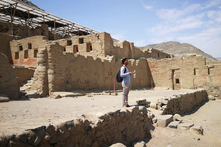 From the Cruise: Paracas & Tambo Colorado Tour Paracas National Reserve & Tambo Colorado Tour from Arequipa