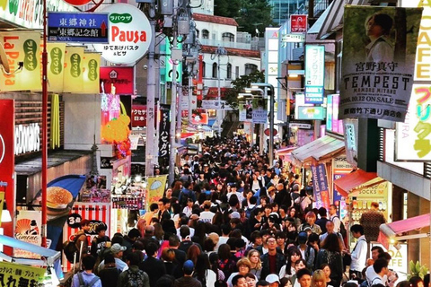 Tokio Stadtführung mit englischsprachigem Fahrer.