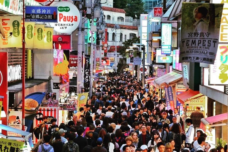 Tokio Stadtführung mit englischsprachigem Fahrer.