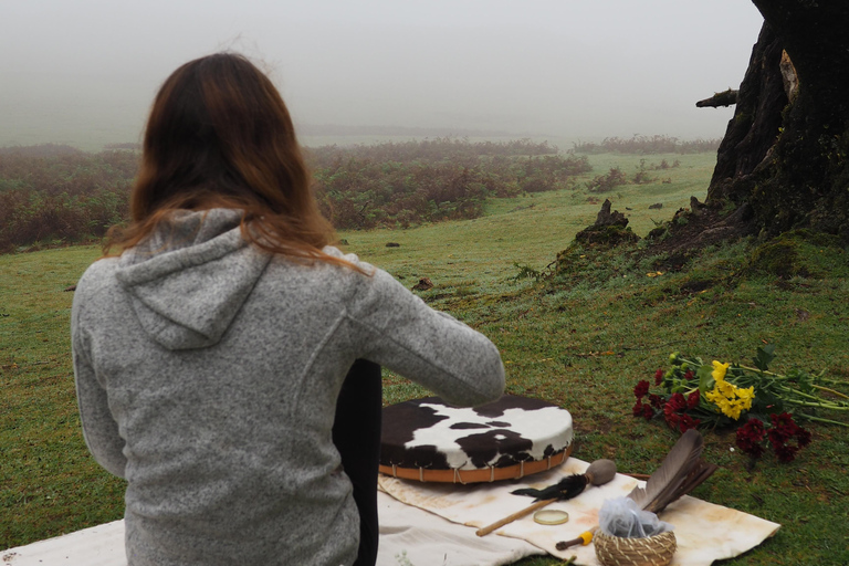 Madeira: Fanal Forest Tree Connection Ceremony &amp; Picnic