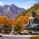 Da Seul: Monte Seoraksan, Nami Island, Giardino della Calma Mattutina