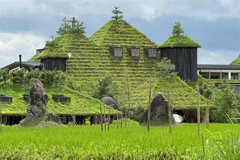 Iga: Lake Biwa Architecture & Miho Museum Day Trip Osaka