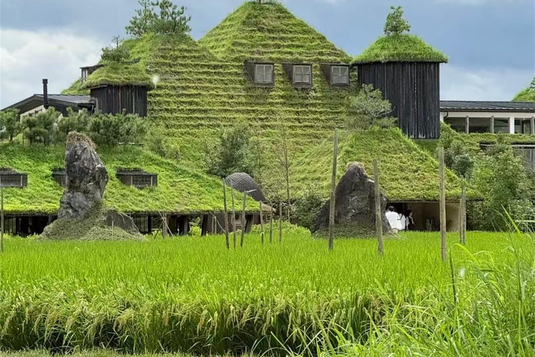 Iga: Lake Biwa Architecture & Miho Museum Day Trip Osaka