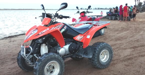 Djerba Quad Tour 2-Hour Adventure to Pink Flamingo Island