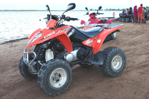 Djerba half day Quad tour 03H30