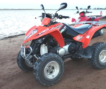 Djerba: Guided Quad Bike Tour with Blue Lagoon Stop