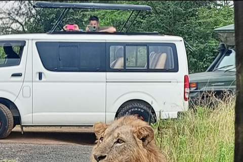 Nairobi:Tour PRIVADO al Parque Nacional, Elefante y Jirafa