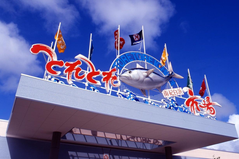 Osaka: Wakayama Cat Train, Seafood market, Hot Springs Tour