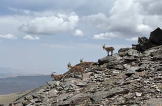 Von Granada aus: Wanderung in der Sierra Nevada