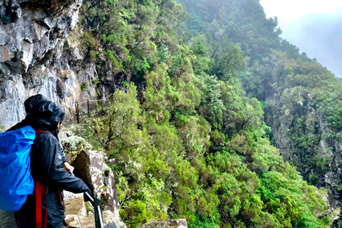 Madeira: Jungle Fever Levada Caldeirão Verde Caminhada SantanaCaniço: Zona de recolha