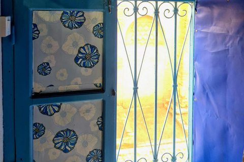 Excursión de un día a Cartago y Sidi Bou Said