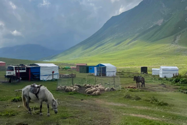 Tbilisi: Discover Georgia in 6 Days – All-Inclusive Tours ✅