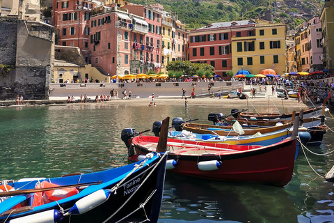 Vanuit Florence: Dagtour in kleine groep naar Cinque Terre en Pisa