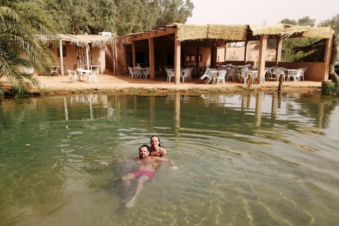 Hammamet: 3-Day Djerba, El Djem, and Sahara Desert Tour