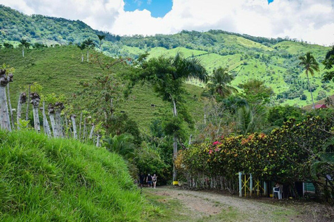 Private: Anamuya Mountain Walking Tour