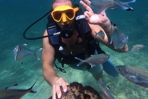 Mahdia: Guided Medina Tour and Scuba Diving Experience