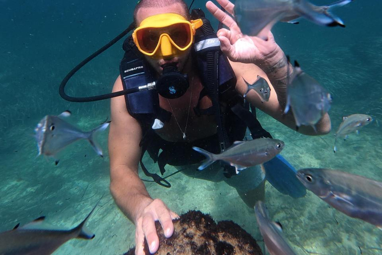 Mahdia: Guided Medina Tour and Scuba Diving Experience