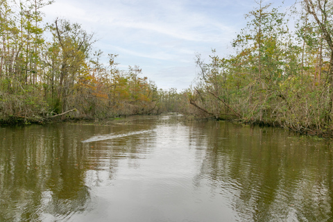 Från New Orleans: Swamp Airboat, 2 Plantation Tours &amp; Lunch