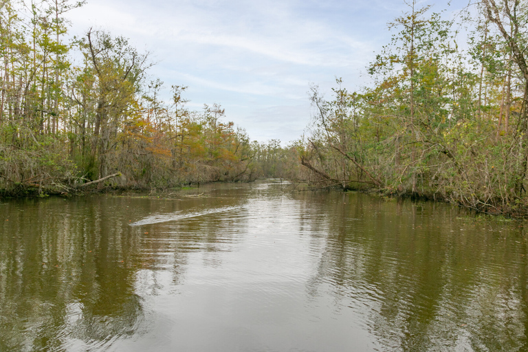 Vanuit New Orleans: Swamp Airboat, 2 Plantage Tours & LunchVan New Orleans: moeras-airboot, 2 plantagetours en lunch