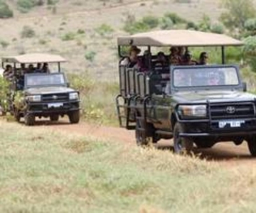 Game Drive (min. 2 pessoas)