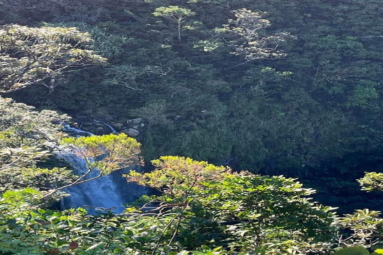 Mauritius: prywatna wycieczka na południowy zachód