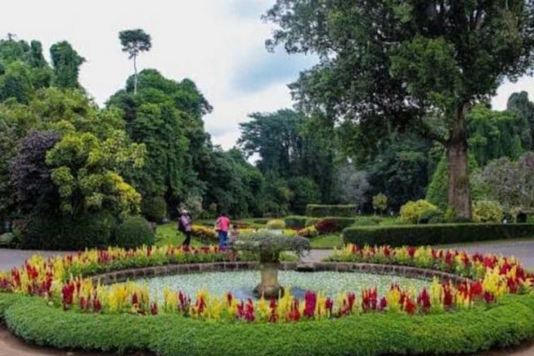 Kandy Top City Sights & Agro Tech Park Visit 4-Hours Tour Kandy Top City Sights visit -01
