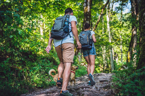 Rovaniemi: Äventyrsresa med vandring i den magiska skogen och BBQMagisk skog vandring äventyrstur &amp; BBQ - tur i liten grupp