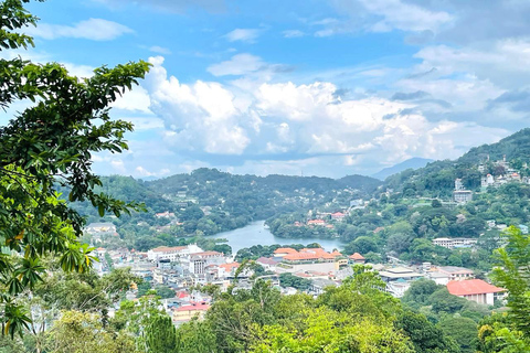 Colombo: Kandy Day Trip with Tooth Temple, Tea Factory Visit