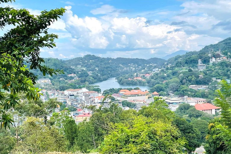 Colombo: Kandy Day Trip with Tooth Temple, Tea Factory Visit
