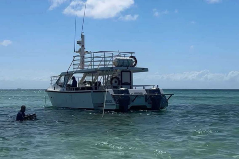 Moreton Bay: Oyster Farm Tour, Boat, Shucking & Tasting