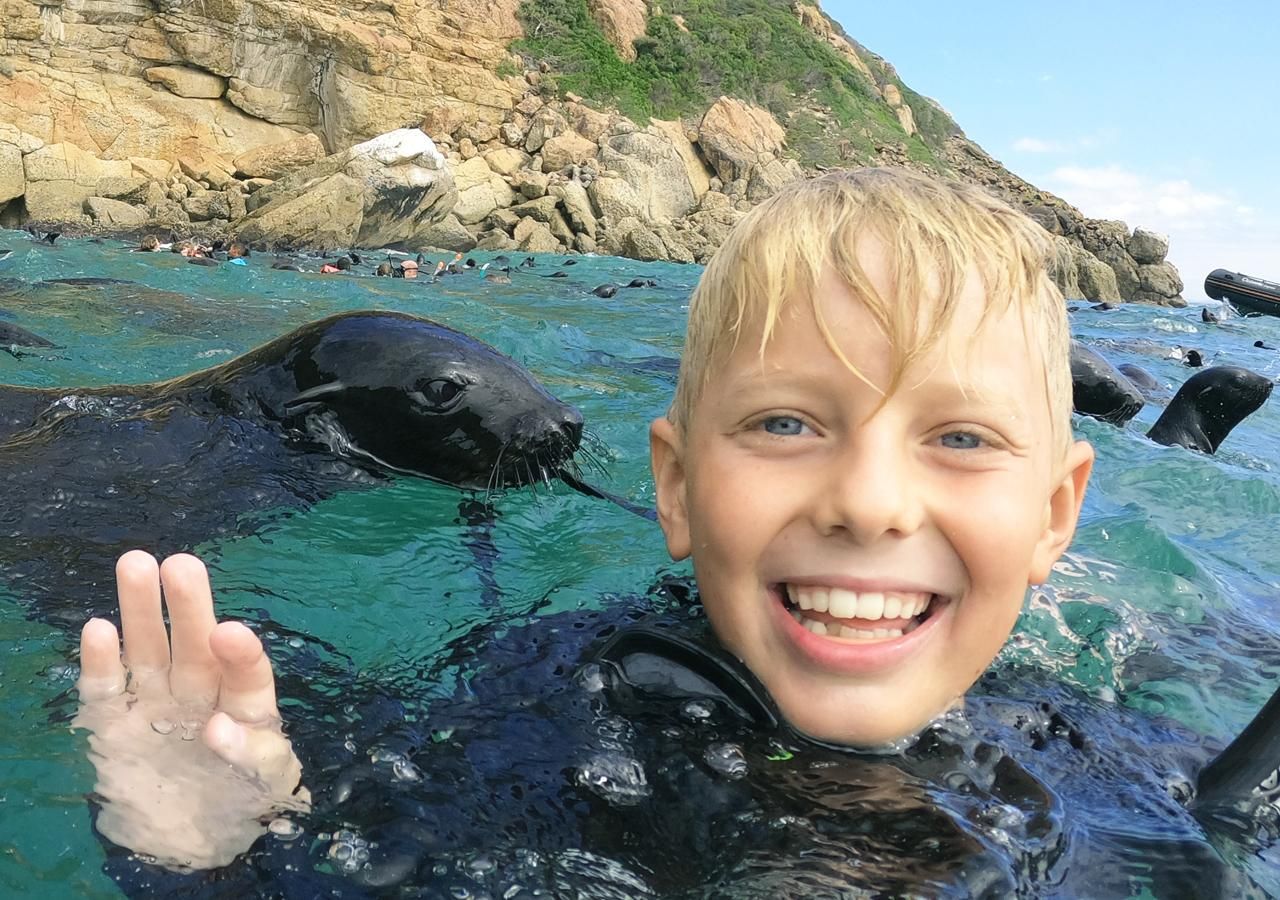 Plettenberg Bay: Schwimmen mit den Robben