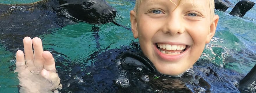 Plettenberg Bay : Nagez avec les phoques