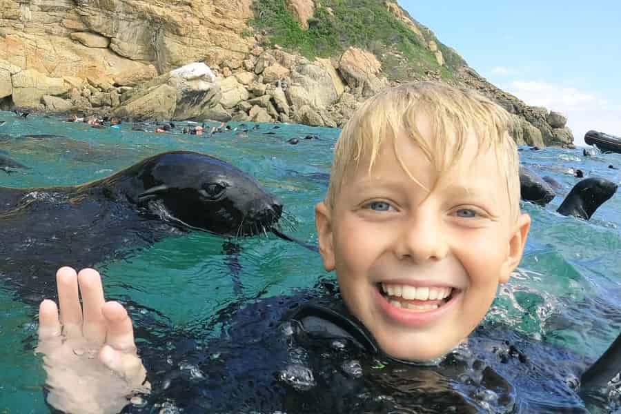 Plettenberg Bay: Schwimmen mit den Robben. Foto: GetYourGuide
