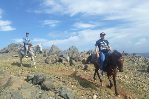 Aruba:Private 2 Hr Horseback Riding Tour For Advanced Riders