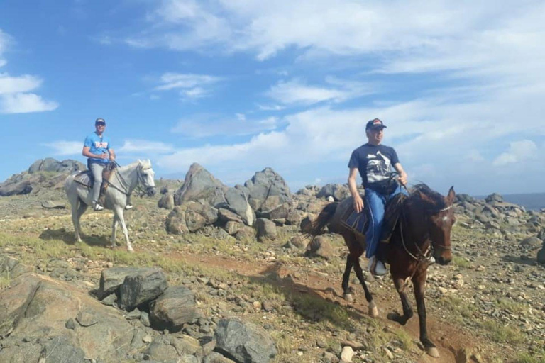 Aruba:Private 2 Hr Horseback Riding Tour For Advanced Riders