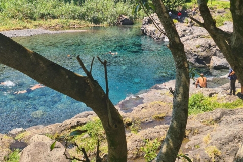 Reunion Island: Full-Day Tour for 4 personels possibilité de guide interprètes