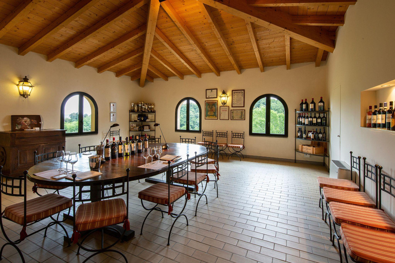 Abbey Tour, Wine Tasting and Light Lunch near Pisa English