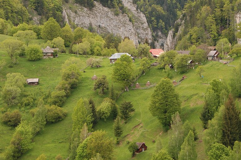 Brașov: Visit a Transylvanian Village Home near Bran Castle From Brașov to a Traditional Village Home in the Bran Area