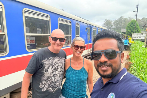 Kandy: Road-to-Rail Journey to Ella via Nuwara Eliya