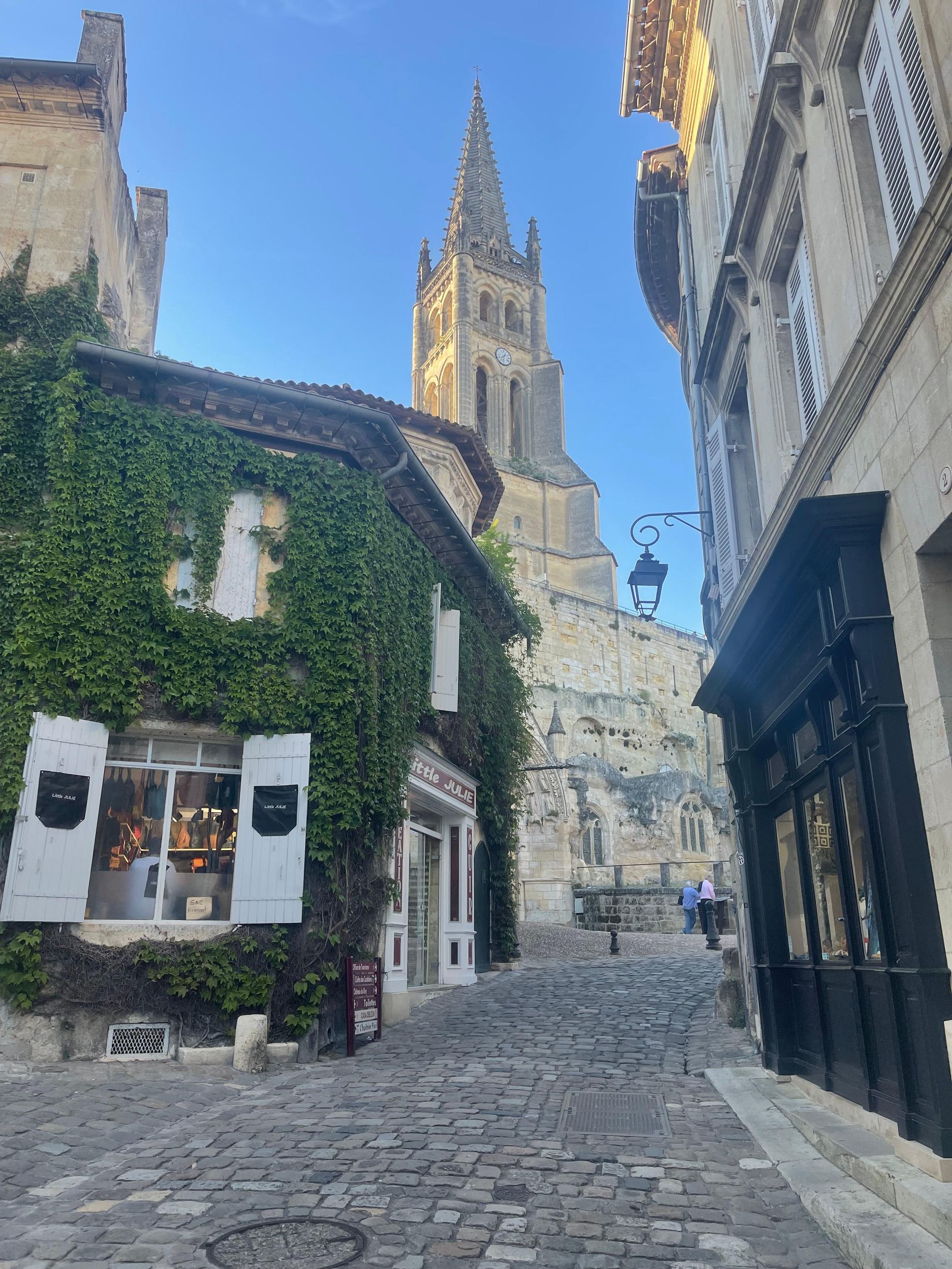 Von Bordeaux aus einen halben Tag in Saint-Emilion oder Arcachon mit einem privaten Van