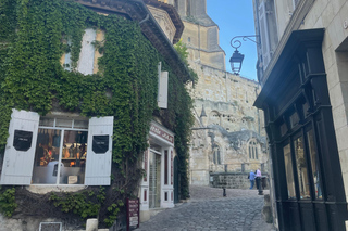 From Bordeaux: Half-Day Trip to Saint-Emilion or Arcachon in a Private Van