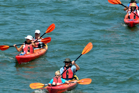 Negombo private city-Lagoon: Sunrise or Sunset Kayaking Tour