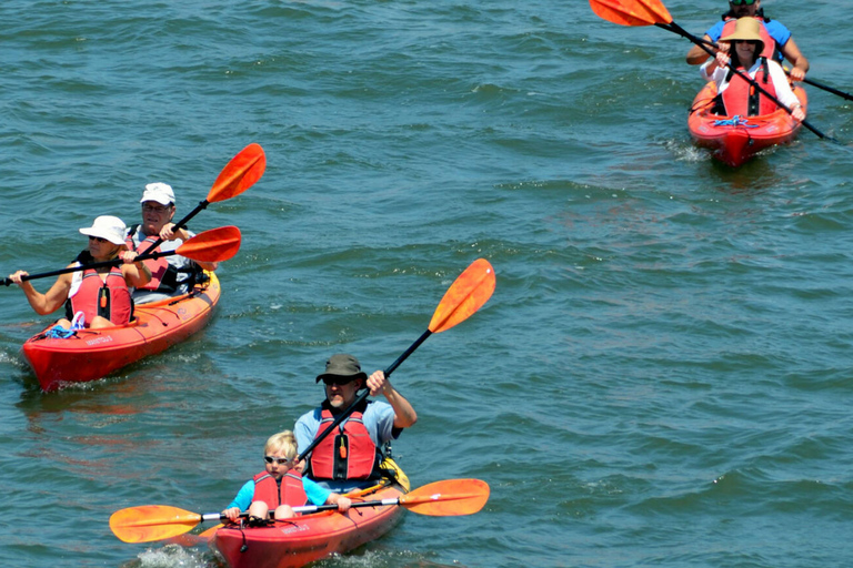 Negombo private city-Lagoon: Sunrise or Sunset Kayaking Tour