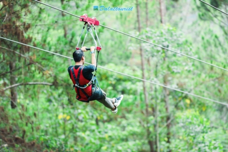 Zanzibar: Masingini Forest, Monkeys & Zipline adventure Masingini Forest, Monkeys & Zipline adventure & transfer