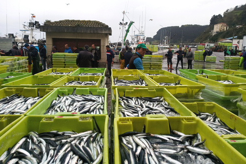 San Sebastian: Coast, Seafood and Wine Tour