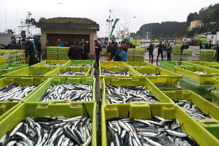 San Sebastian: Tour pela costa, frutos do mar e vinhos