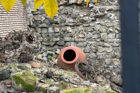 “Walking Through Time: Old Town Tbilisi”